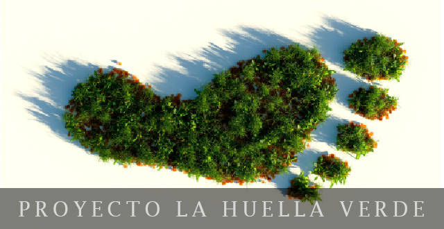 Proyecto_huellaverde_FPBasica